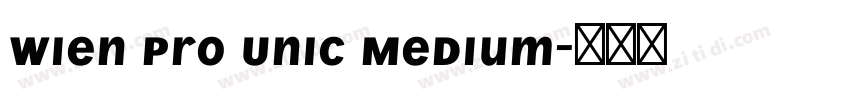 Wien Pro Unic Medium字体转换
